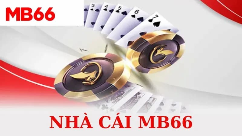 Khám phá các sản phẩm trực tuyến tại MB66